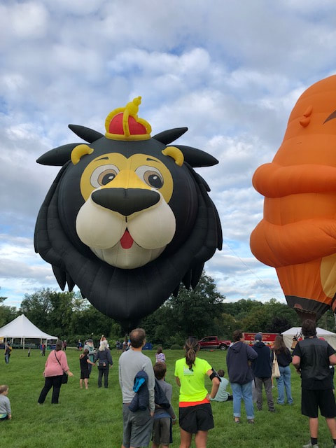 fully inflated lion king hot air balloon