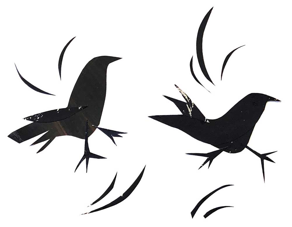 black and white collage of two crows prancing