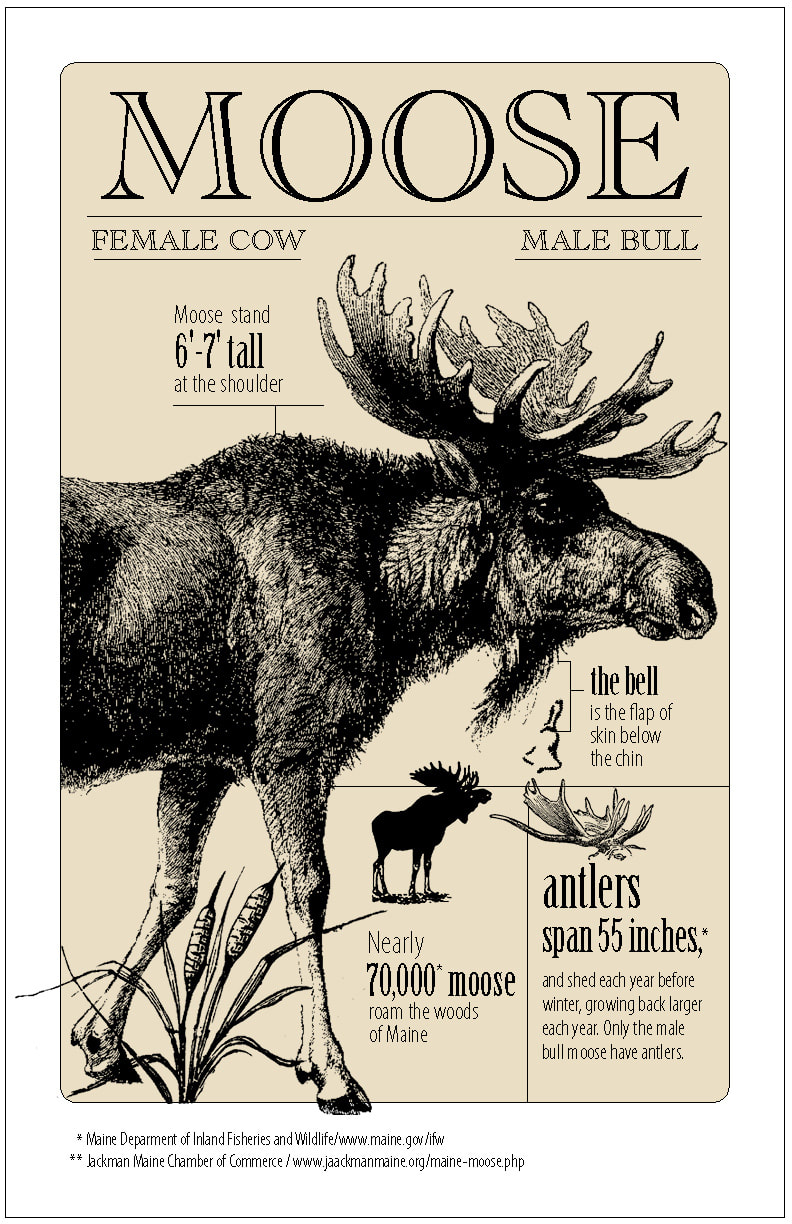Infographic of moose