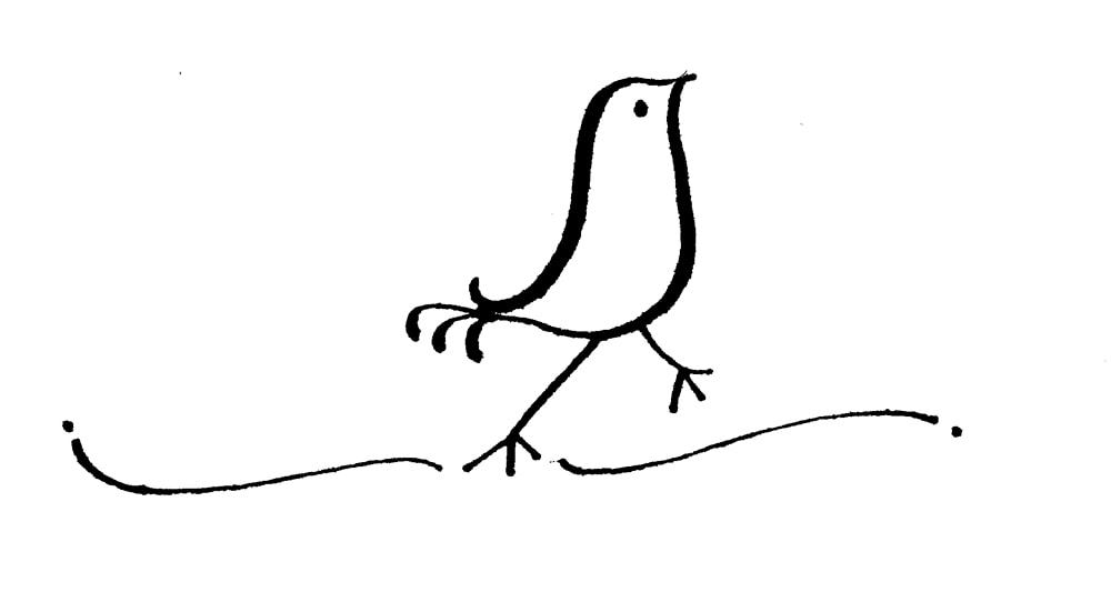 black and white drawing of small bird