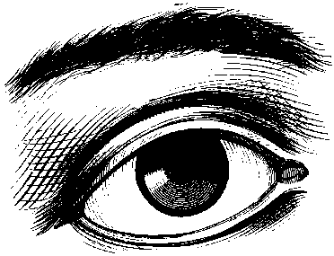 line drawing of an eye