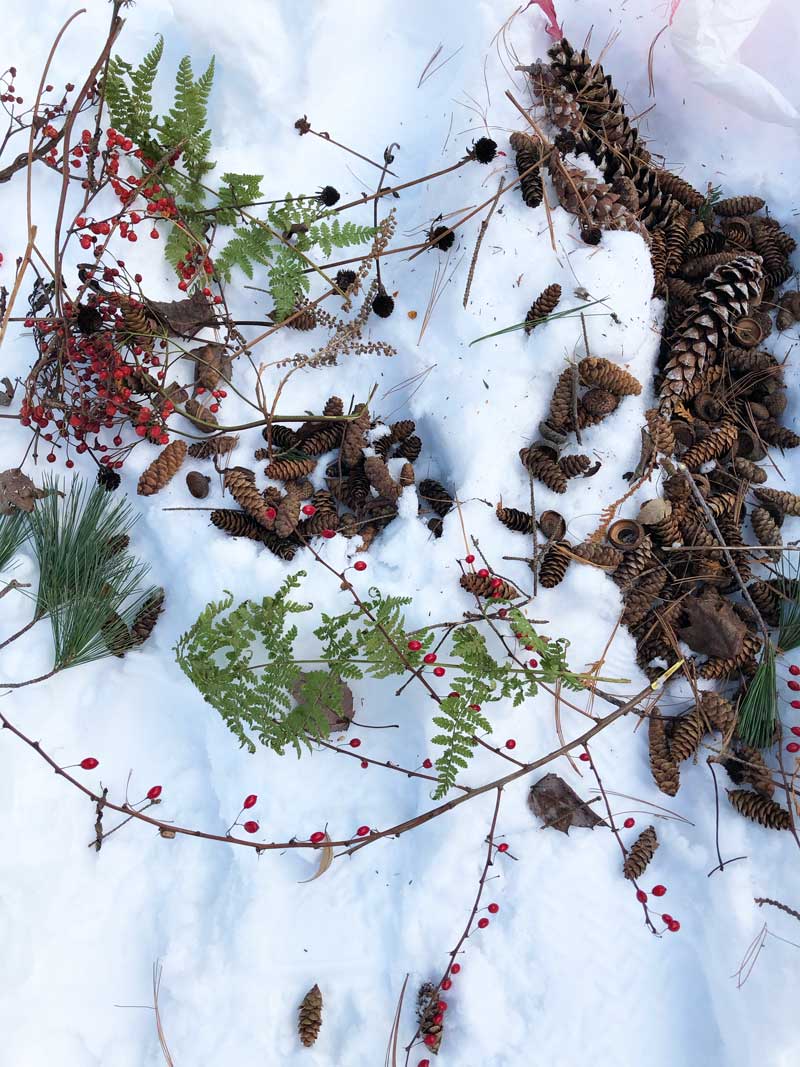 Natural materials on snow use to make winter beauty: pine cones, red berries, twigs