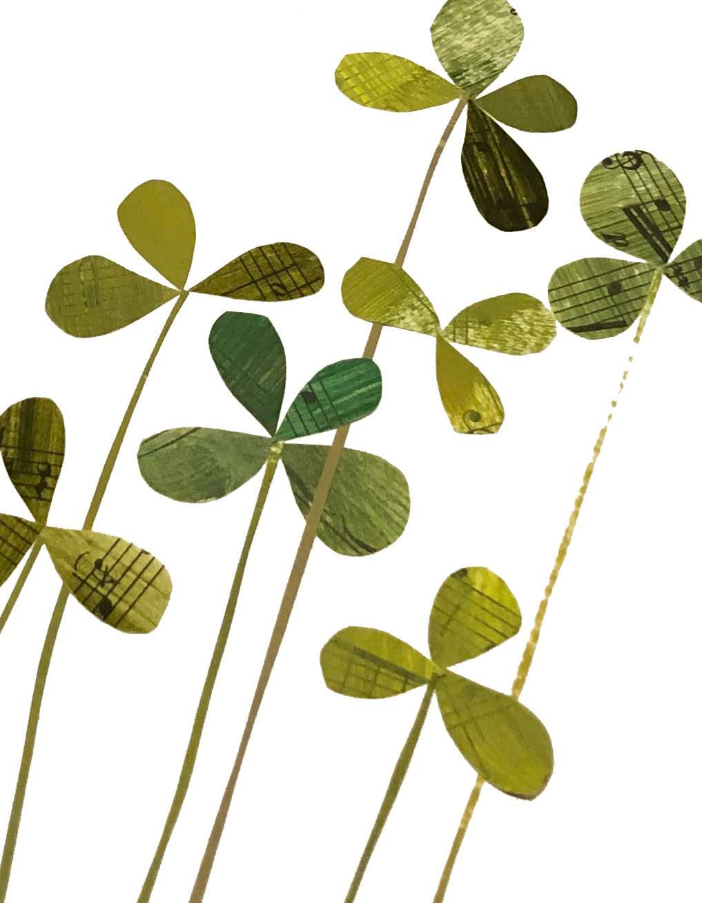 collage of clover on stems with one 4-leaf clover