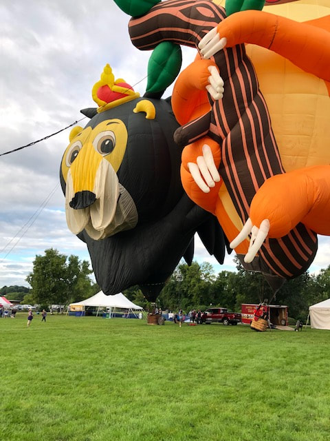 hot air balloon filling looking like a bear