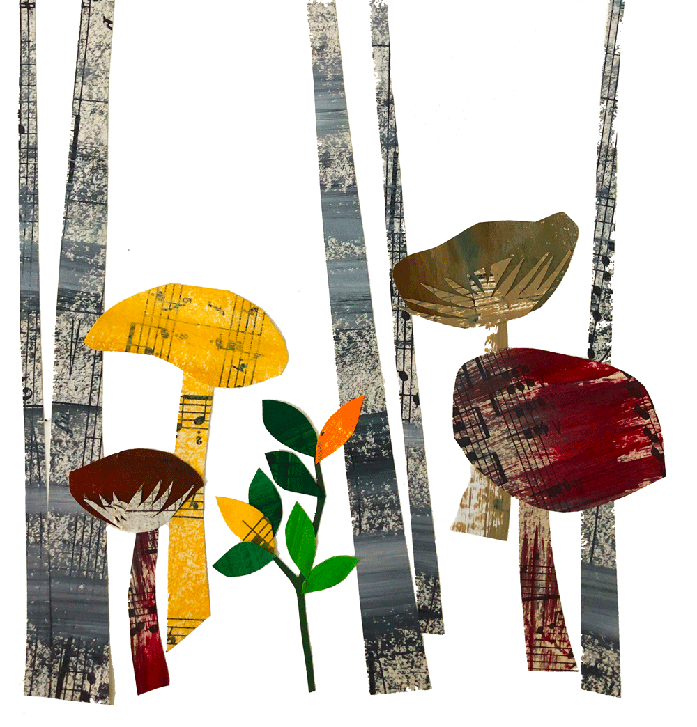 Collage of tree trunks with mushrooms and leaves in between them
