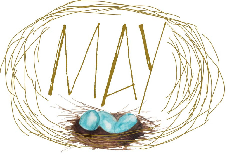 May with nest and blue eggs